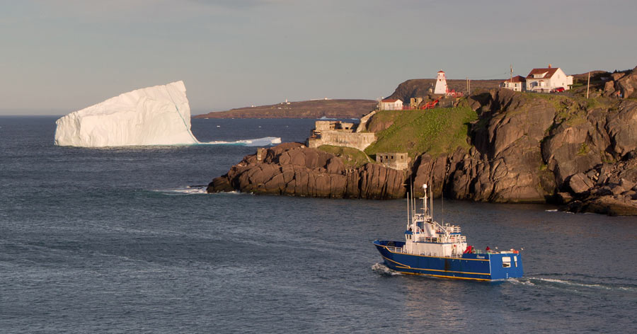 Iceberg St John's Neufundland Kanada